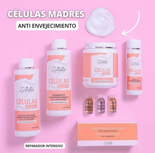 línea de Células madres.